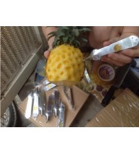 Dụng cụ gắp mắt dứa 